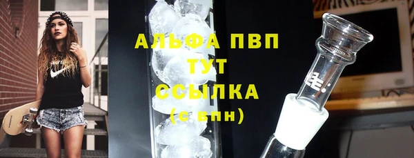 индика Усинск