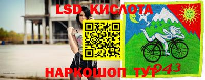 эйфоретик Кимры
