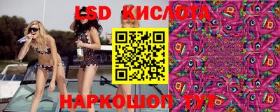 эйфоретик Кимры