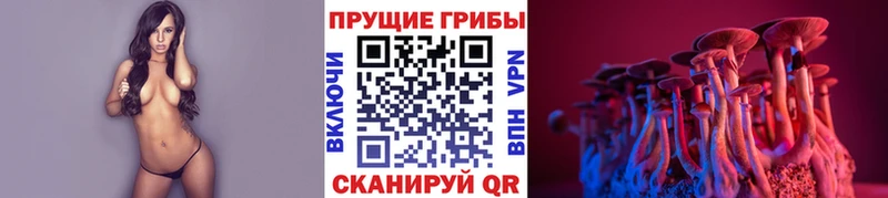 маркетплейс наркотические препараты  Курган  Псилоцибиновые грибы Psilocybine cubensis  наркотики 