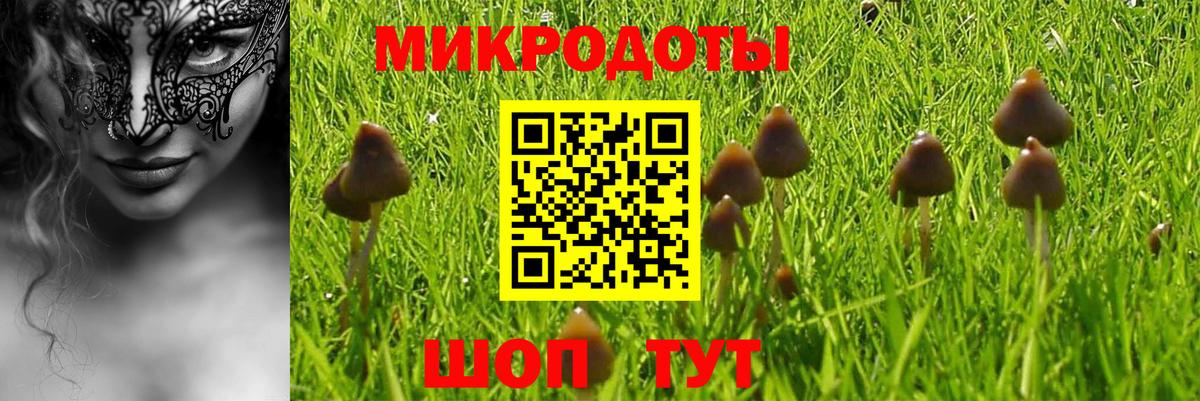 Курган  Галлюциногенные грибы Psilocybine cubensis  Вход с VPN 