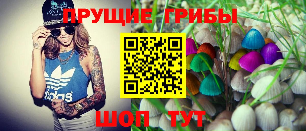 Псилоцибиновые грибы Cubensis Курган